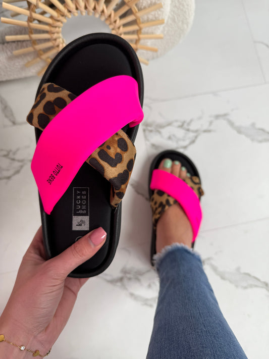AVA Leo Slides